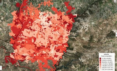 20tree.ai
