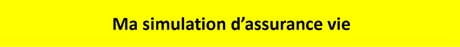 Simulation Assurance Vie