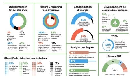 EcoACT, infographie, p.25, rapport, CAC 40, performance, reporting climat,