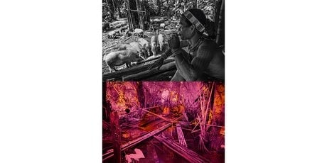 L’archipel se compose de quatre grandes îlesSiberut, Sipora, North Pagai et South Pagai et d’une quarantaine d’îles plus petites. Un isolement géographique probablement à l’origine de la préservation d’une des plus anciennes cultures au monde.