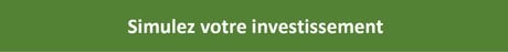 Simulation Investissement