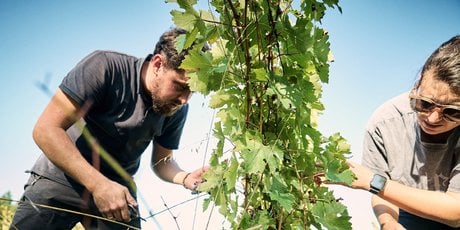 Génération de vignerons