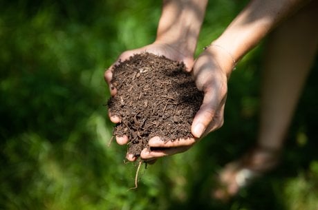Lesalchimistes_compost
