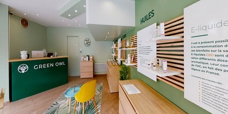 Green Owl