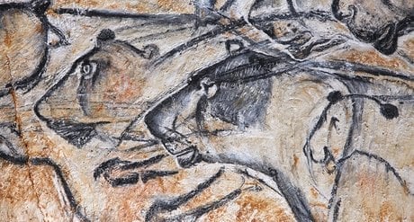 Détails du panneau des lions, à la grotte Chauvet.