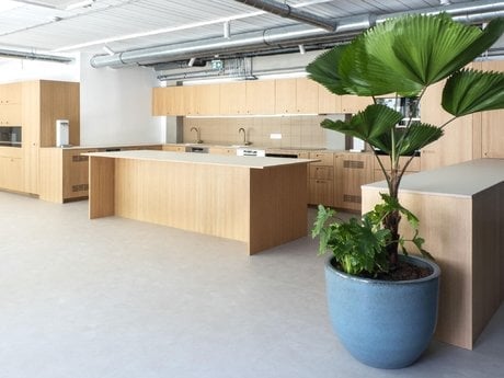 Plante