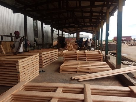 bois zes gabon nkok zone industrielle
