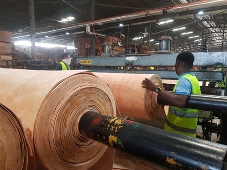 zone nkon bois gabon industrie