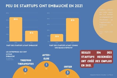 infographie emploi startups