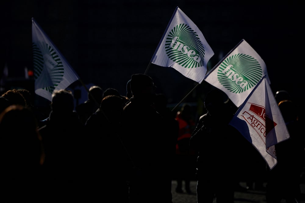 Des agriculteurs francais brandissent des drapeaux de la fnsea lors d'une manifestation a paris