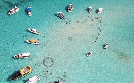Stingray City (Îles Caïmans)