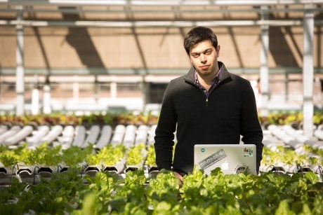 Lufa Farms, Hage Mohamed, Les Fermes Lufa, agriculture urbaine, rooftop, toit terrasse,