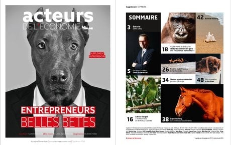 SUPPLEMENT ENTREPRENDRE ET SOMMAIRE