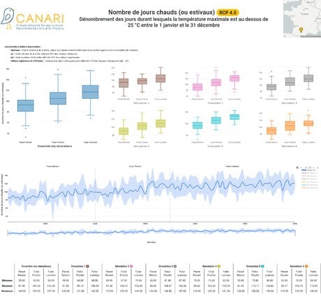 canari