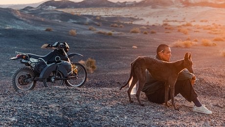 « Black Dog », de Guan Hu, avec Eddie Peng, Tong Liya, Jia Zhangke. 1 h 50. Sortie mercredi.