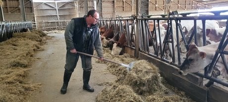 Samuel Bulot possède une soixantaine de vaches