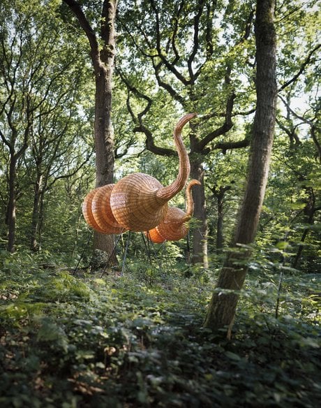 foret