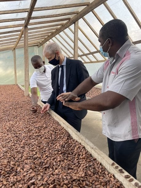 Cacao cote d'ivoire Franck Riester