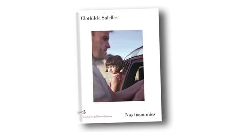 Nos insomnies, de Clothilde Salelles est à retrouver aux éditions Gallimard. 256 pages, 20,50 euros.