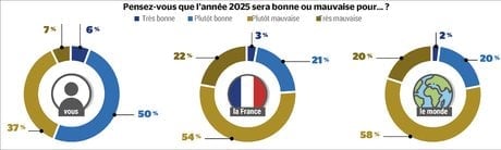 Ipsos Top 30 2024