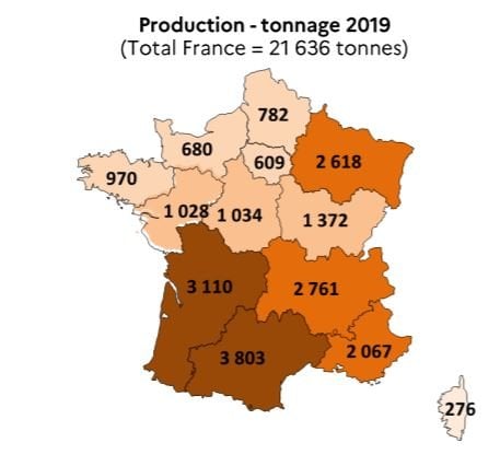 production miel en france Agrimer