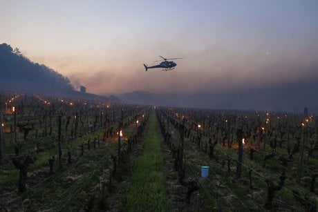 Gel dans les vignes braseros