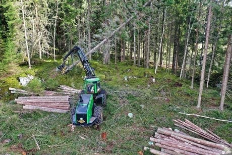 Pour une redynamisation de la filière bois