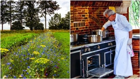 Alain Passard, chef visionnaire de l’Arpège (trois étoiles à Paris), a mené une véritable révolution végétale en cuisine.