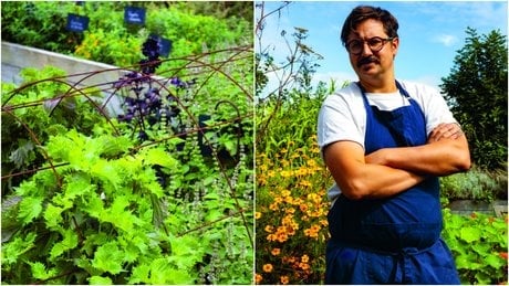 Thomas Benady a ouvert l'Auberge Sauvage, à Servon, loin de la rigueur « à la française ».