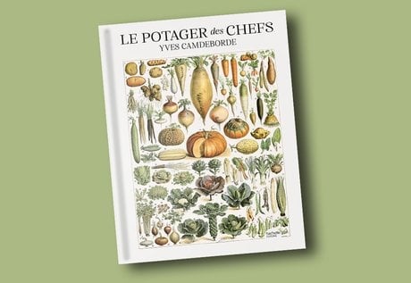 « Le Potager des chefs », chez Hachette Pratique, 304 pages, 39,95 euros, en librairies le 8 octobre.