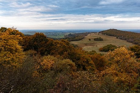 Aubrac