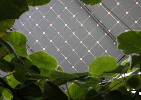 Reden Solar