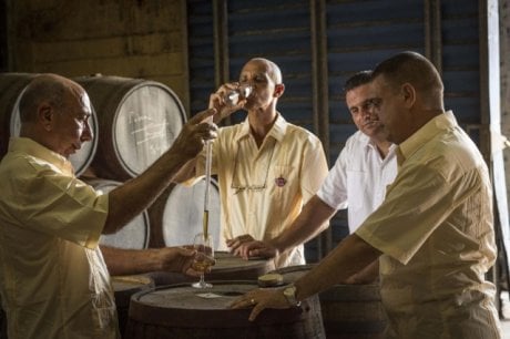 Havana Maestros roneros dans les chais