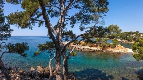 La presqu'île du Capelan.