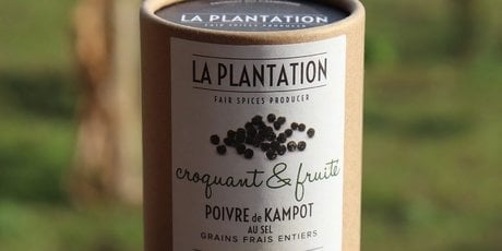 Poivre de Kampot / La Plantation