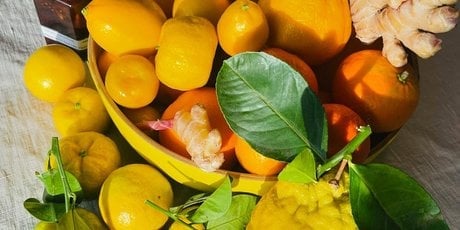 Panier d'agrumes / Pépinières Vessières