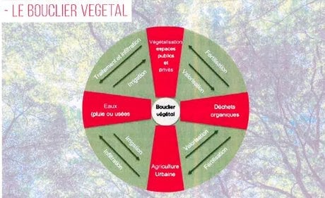 Bouclier Végétal Pellefigue