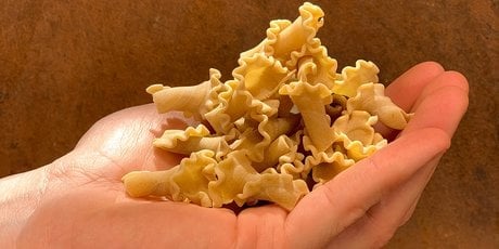 Pâtes de Cucugnan / MAITRES DE MON MOULIN