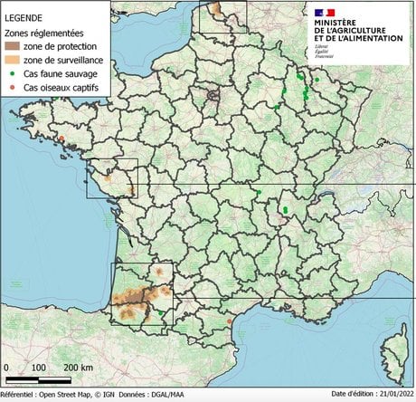 foie gras france