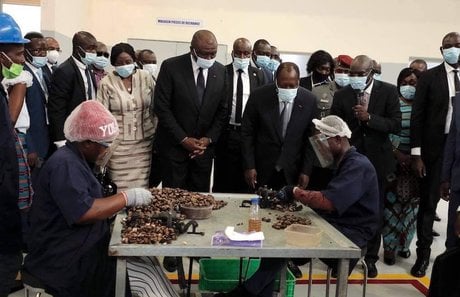 Cita centre anacarde cote d'ivoire