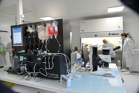 Treefrog Therapeutics inauguration 2