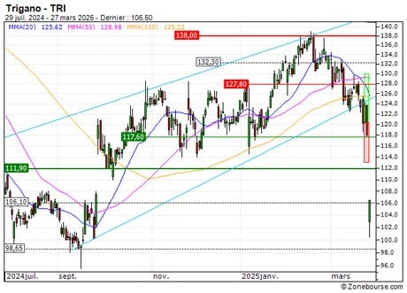 Trigano : Désactivation du turbo CALL 196MS (-75.2%) (196MS)