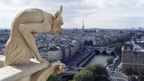 Cathédrale Notre-Dame de Paris, chimère.