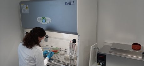 Centre Lab