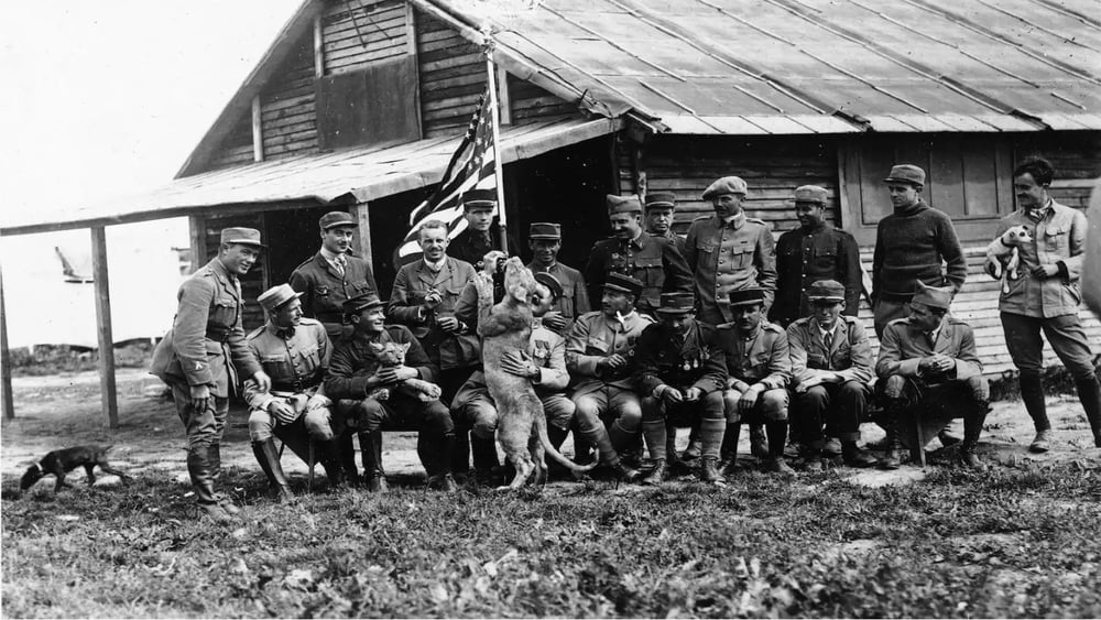 Pilotes américains de la SPA 124, plus connue sous son nom d'Escadrille La Fayette. Les lionceaux Whisky et Soda, mascottes de l'Escadrille, sont aussi présents.