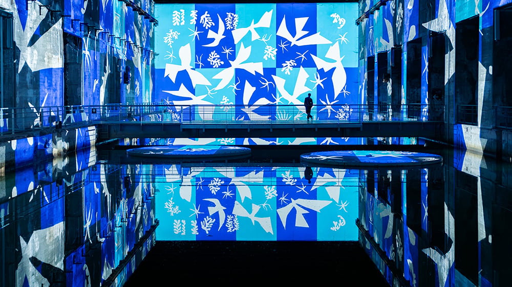 Expérience immersive « Matisse, la symphonie des couleurs », à Bordeaux.
