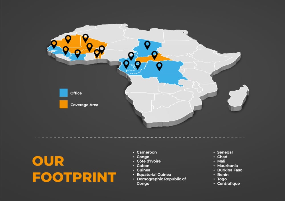Carte des implantations EY Afrique