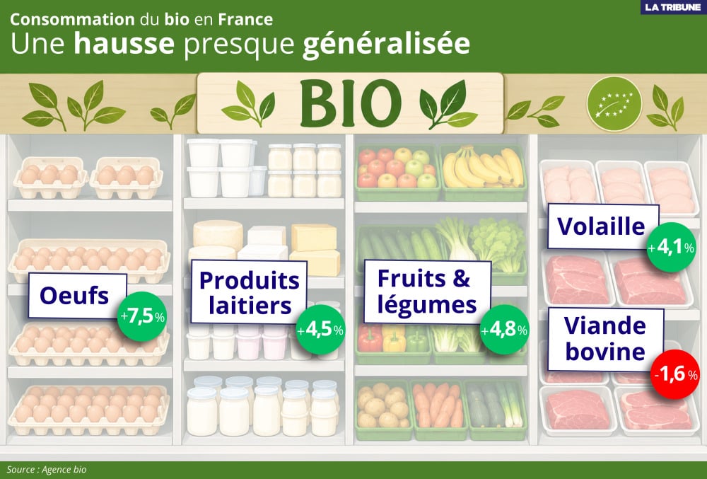 Cette dynamique positive de la consommation de bio en 2025 concerne particulièrement les œufs, les fruits et légumes et les produits laitiers.