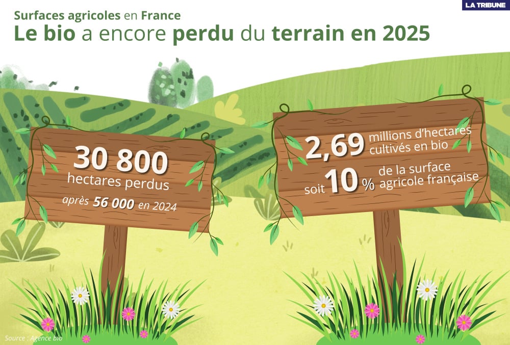 Le nombre de surfaces agricoles en bio est très loin de l'objectif fixé par le gouvernement à horizon 2030.