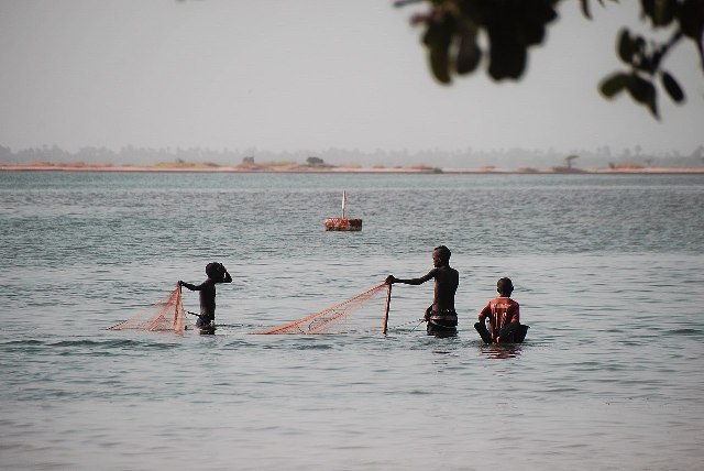 Sénégal Sine-Saloum